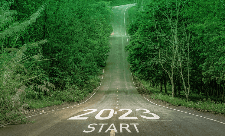 Road in the forest with 2023 Start painted on it