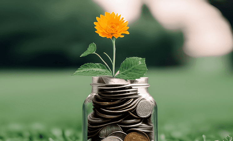 Orange flower growing in a jar of coins